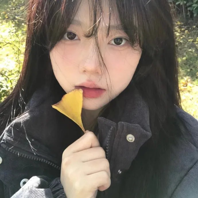 流浪玩偶